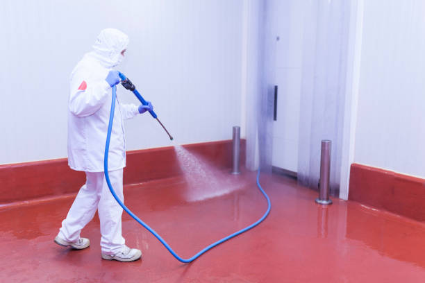 Best Paint Preparation  in Spartanburg, SC
